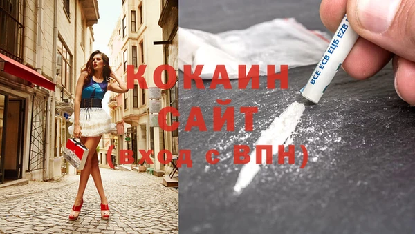 крисы Абаза