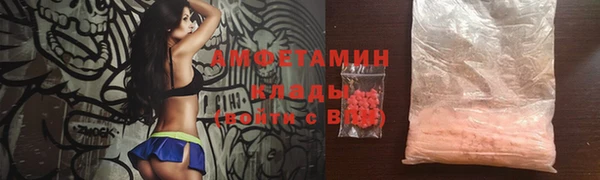 крисы Абаза