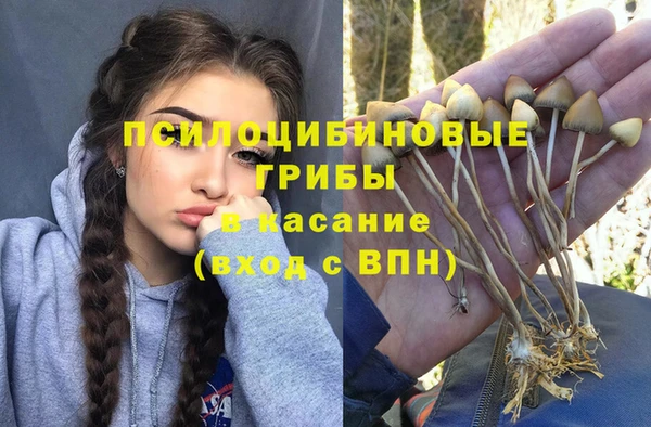 крисы Абаза