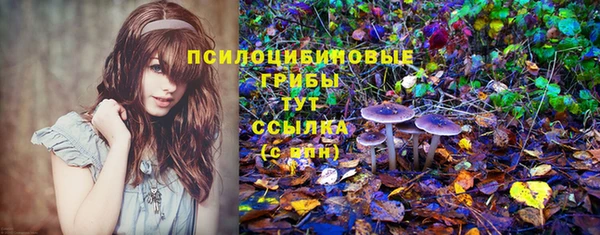 метадон Алексеевка
