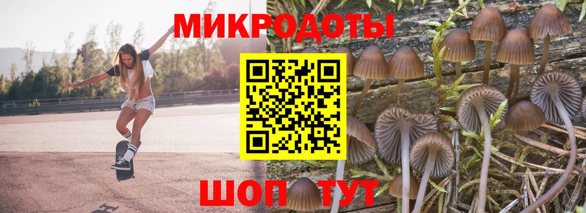 Благовещенск  Псилоцибиновые грибы ЛСД  Псилоцибиновые грибы мухоморы  Вход с VPN 