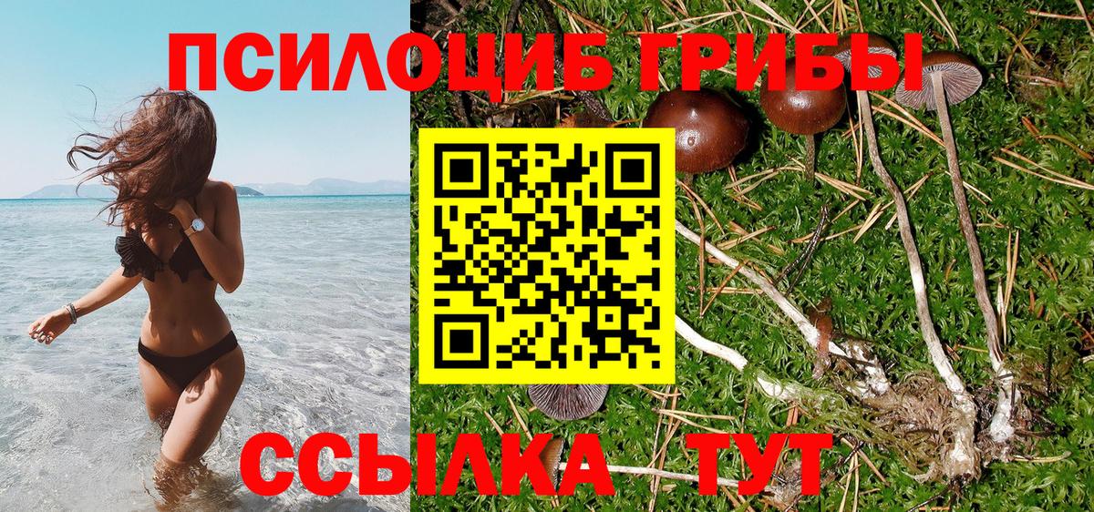 Галлюциногенные грибы Magic Shrooms Благовещенск